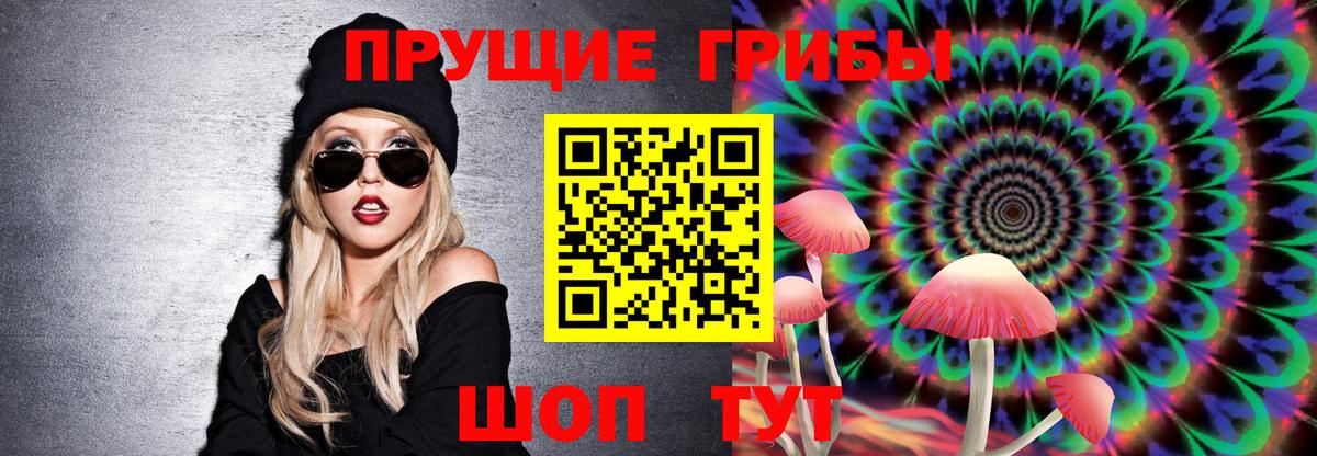 Псилоцибиновые грибы MAGIC MUSHROOMS  Вход с VPN  Осинники 